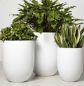 Shelly Planter