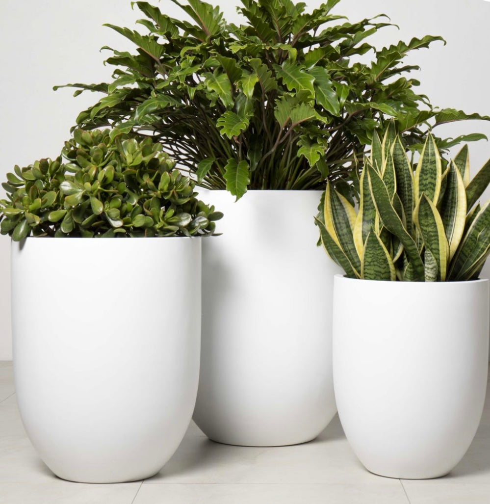 Shelly Planter (set of 3)