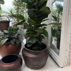 "Copper like Finish" Tub Planter