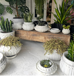 Bodhi Indian marble planter