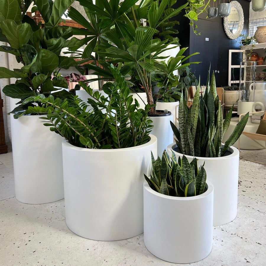 The Bilgola Planter