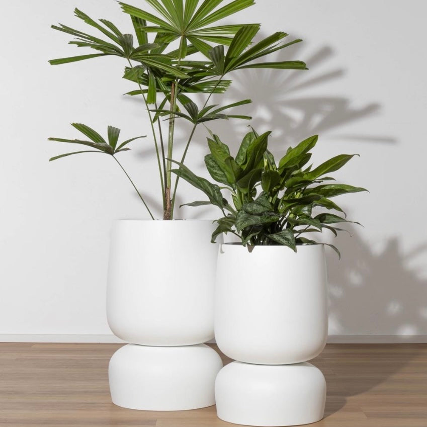 Balmoral Planter