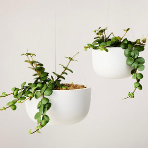 ceramic hanging planter australia Glazed Hanging Planters