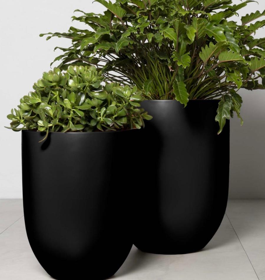 Shelly Planter