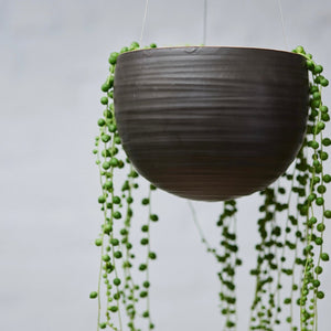 Spherical hanging planter