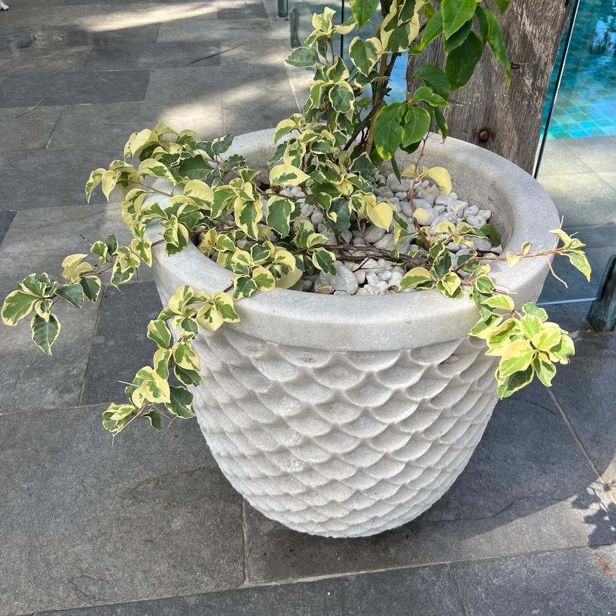 Marble fish scale planter