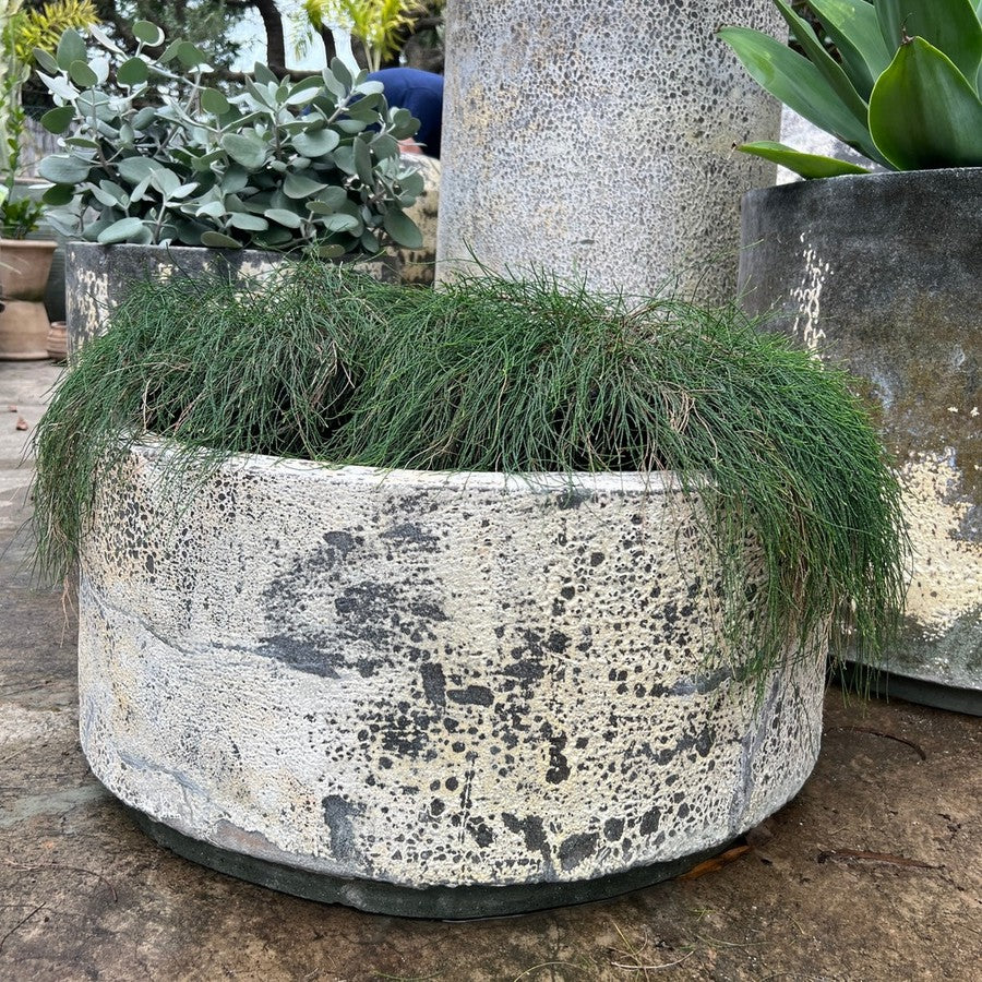 Woodfired Clay Cylinder Planter