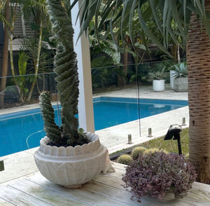 Bodhi Indian marble planter