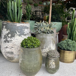 Woodfired Clay Tulip Planter