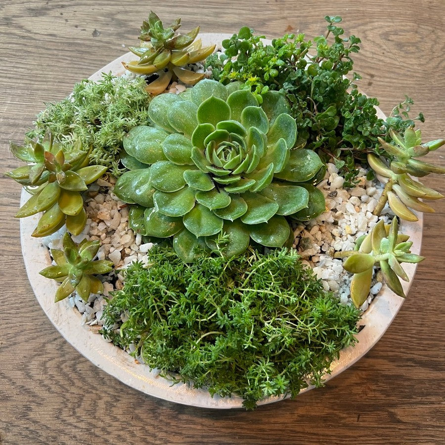 Flat Bottom Bowl - TERRAZZO