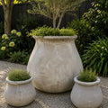 Leon Urn