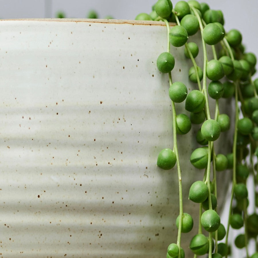 Spherical hanging planter