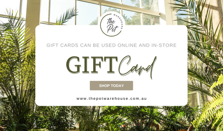 The Pot Warehouse Gift Card