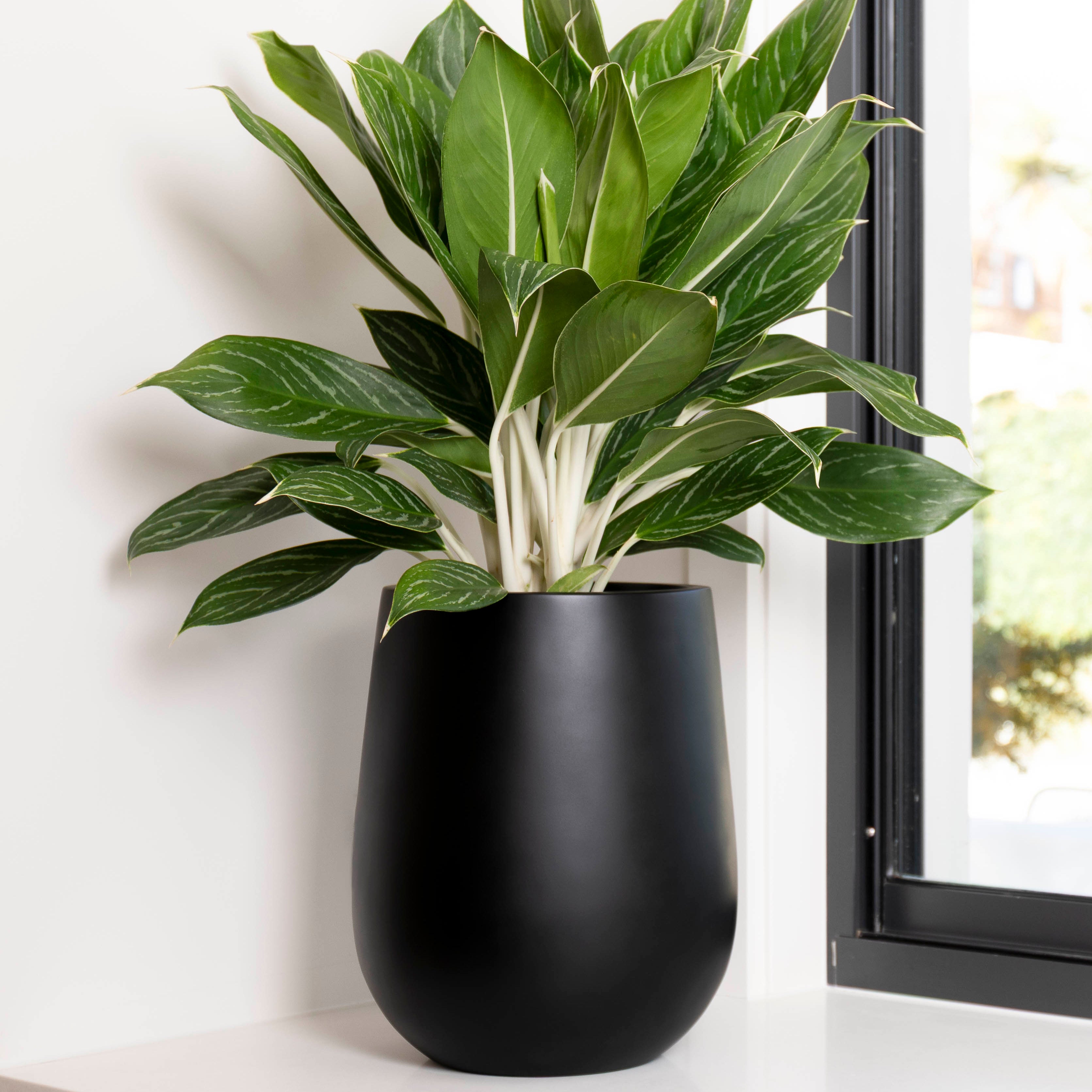 HALMSTAD DUFFEL POT