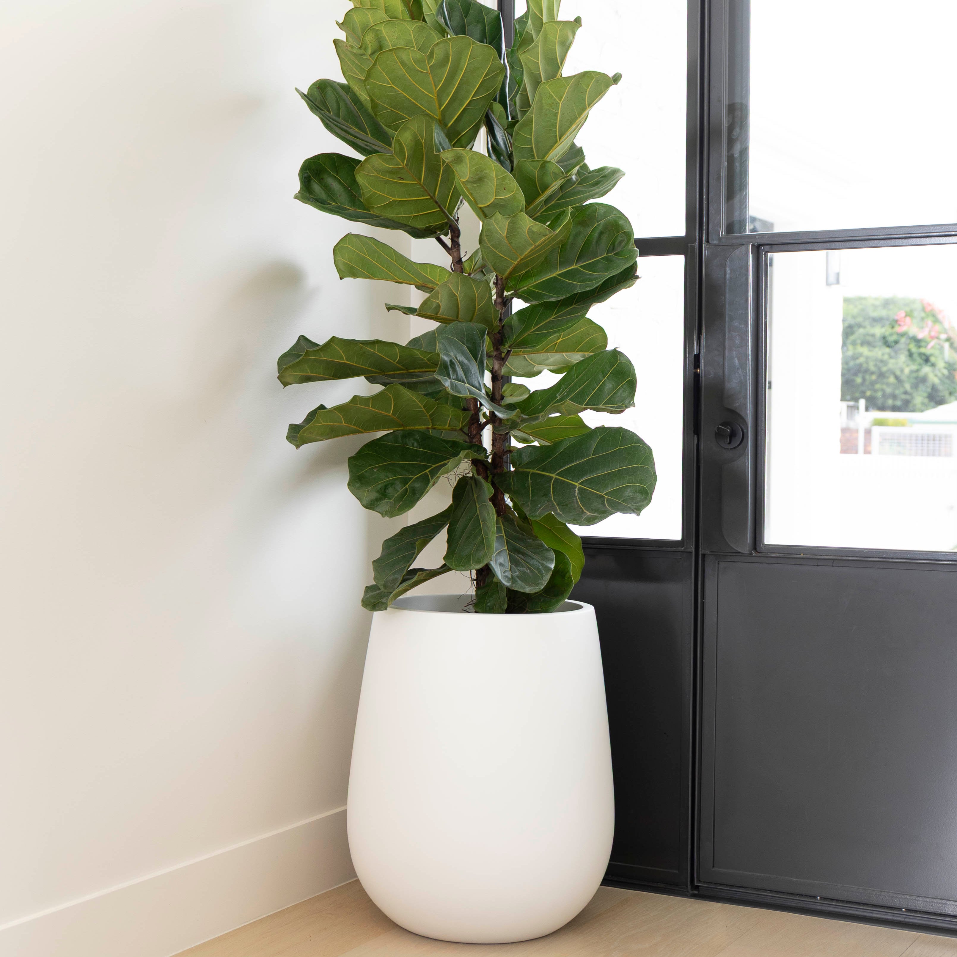 HALMSTAD DUFFEL POT