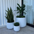 The Bondi Planter