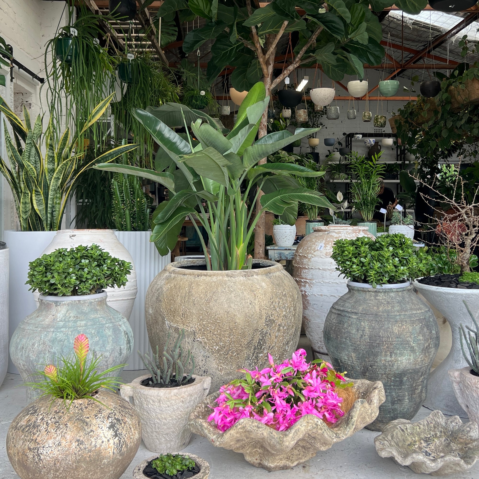 Vintage Bulb Pots