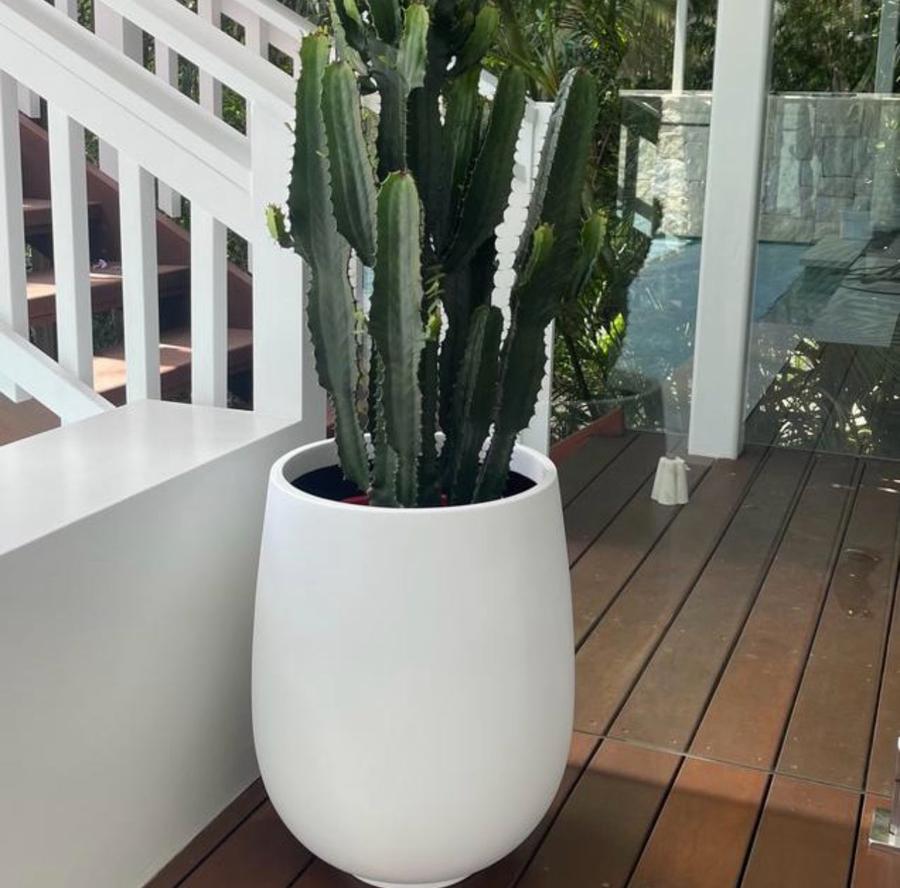 The Whale Beach Planter