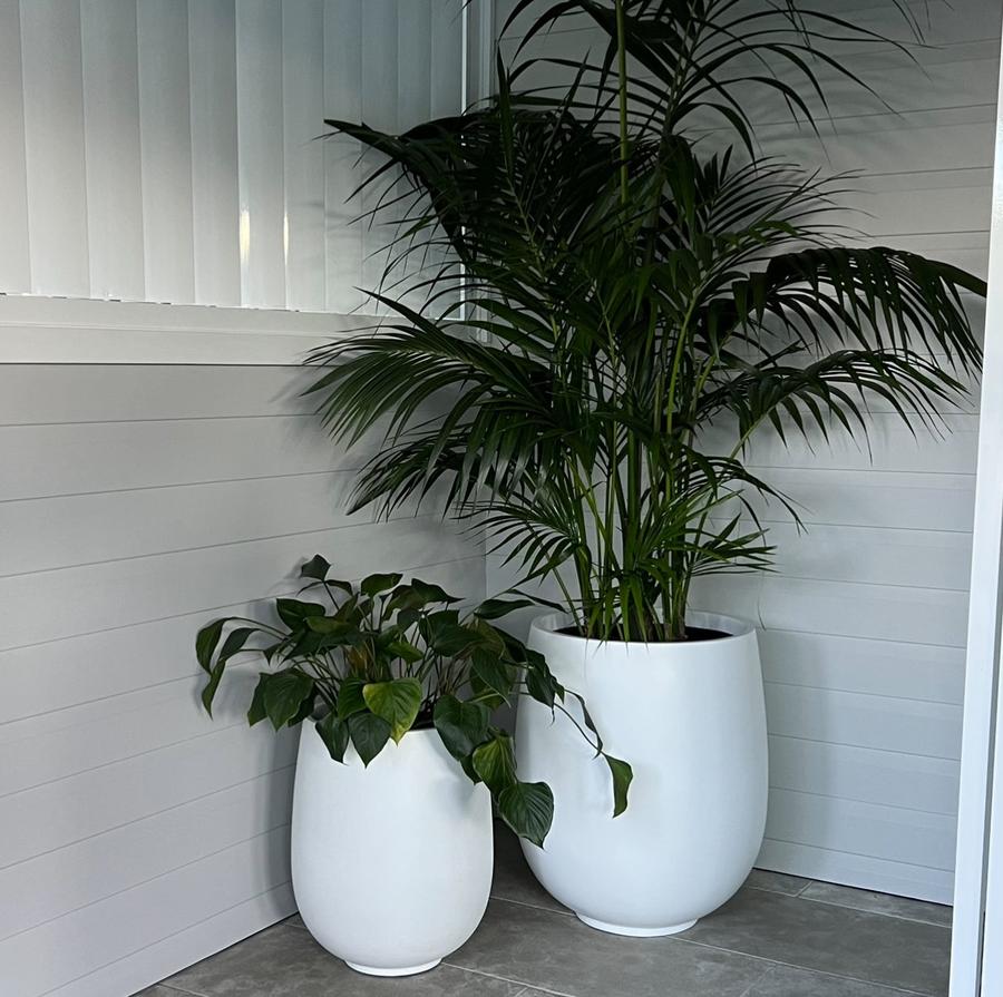 The Whale Beach Planter