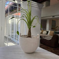 Ferm Living Speckle Pot