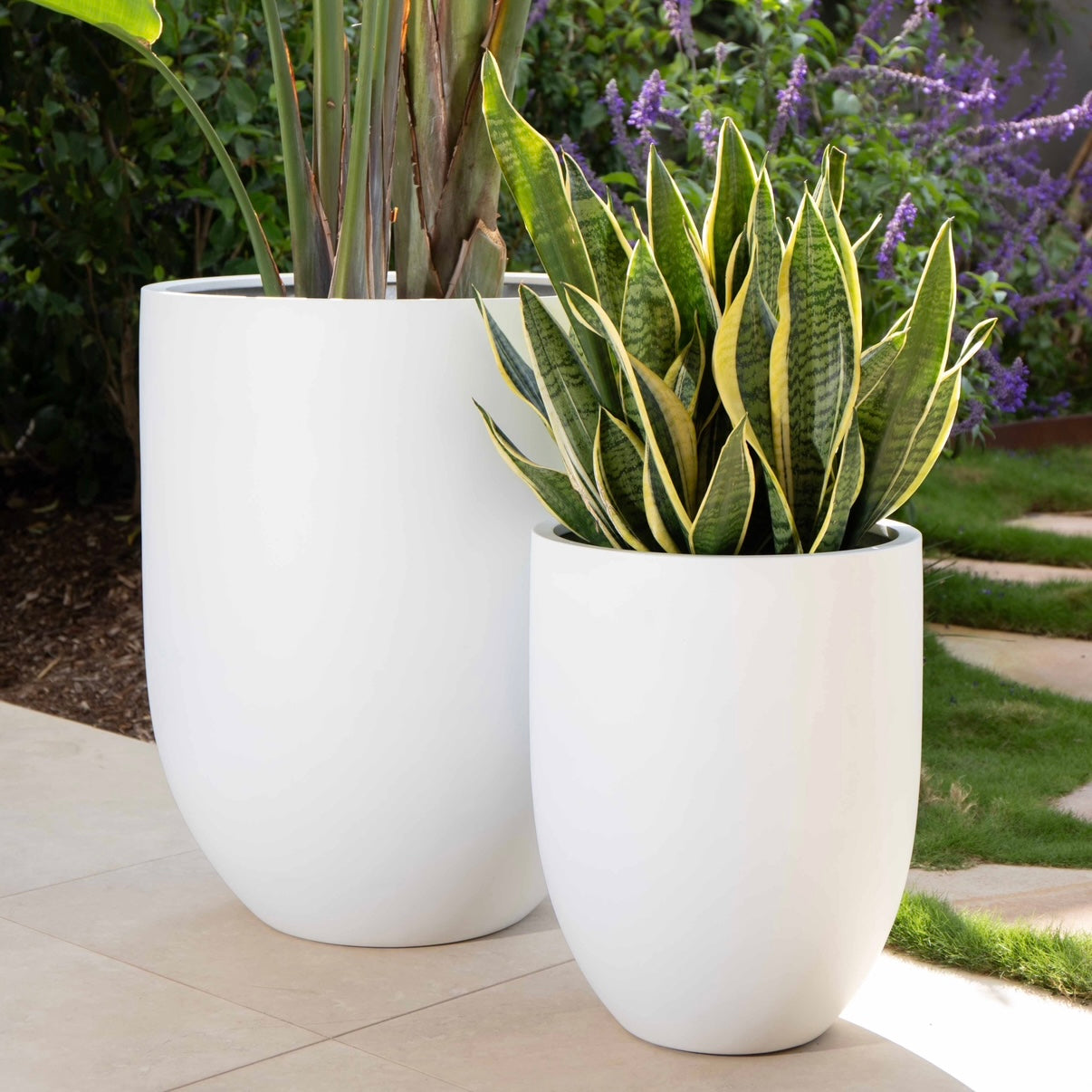 Shelly Planter (set of 3)