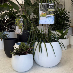 Manly Planter (set of 3)