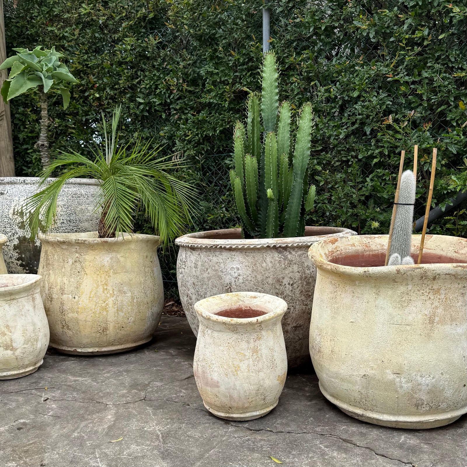 Wave Rustic Pot