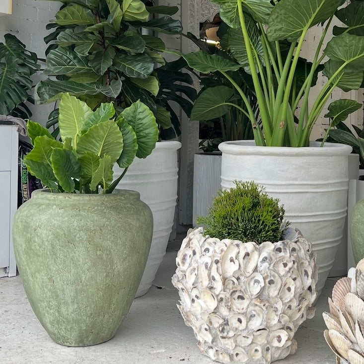 Green whitewashed urn