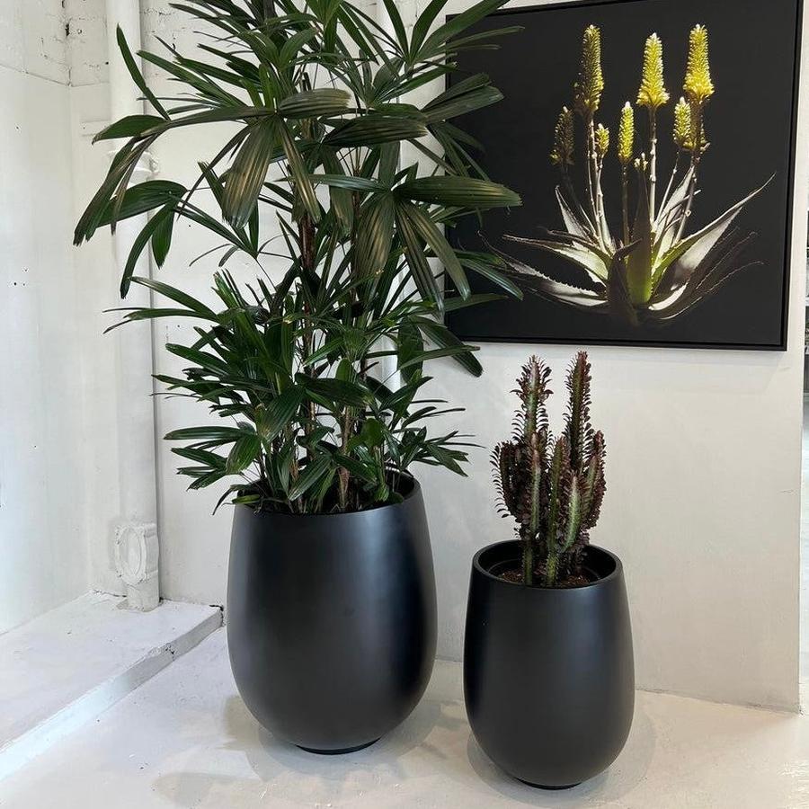 The Whale Beach Planter