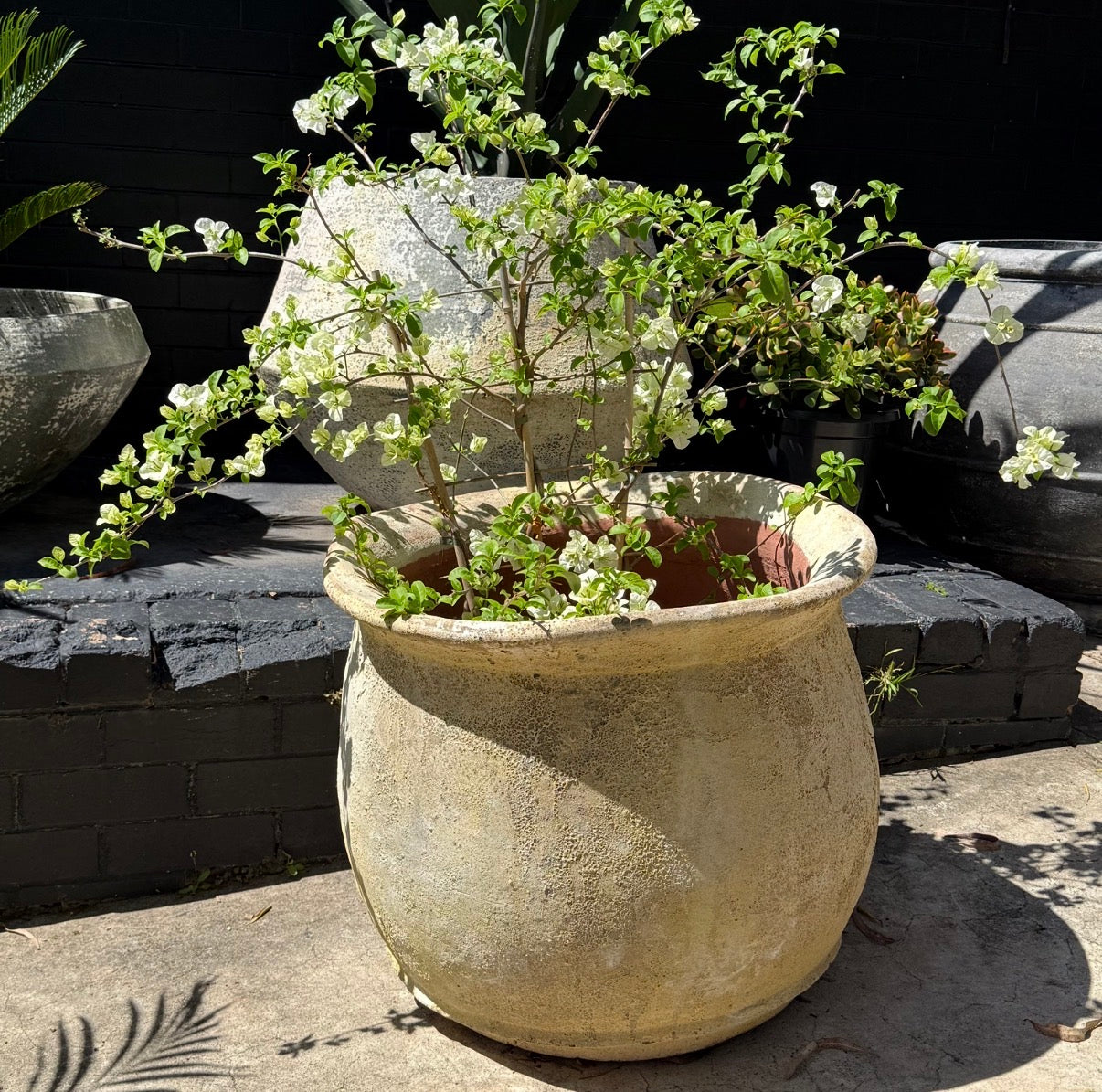 Wave Rustic Pot