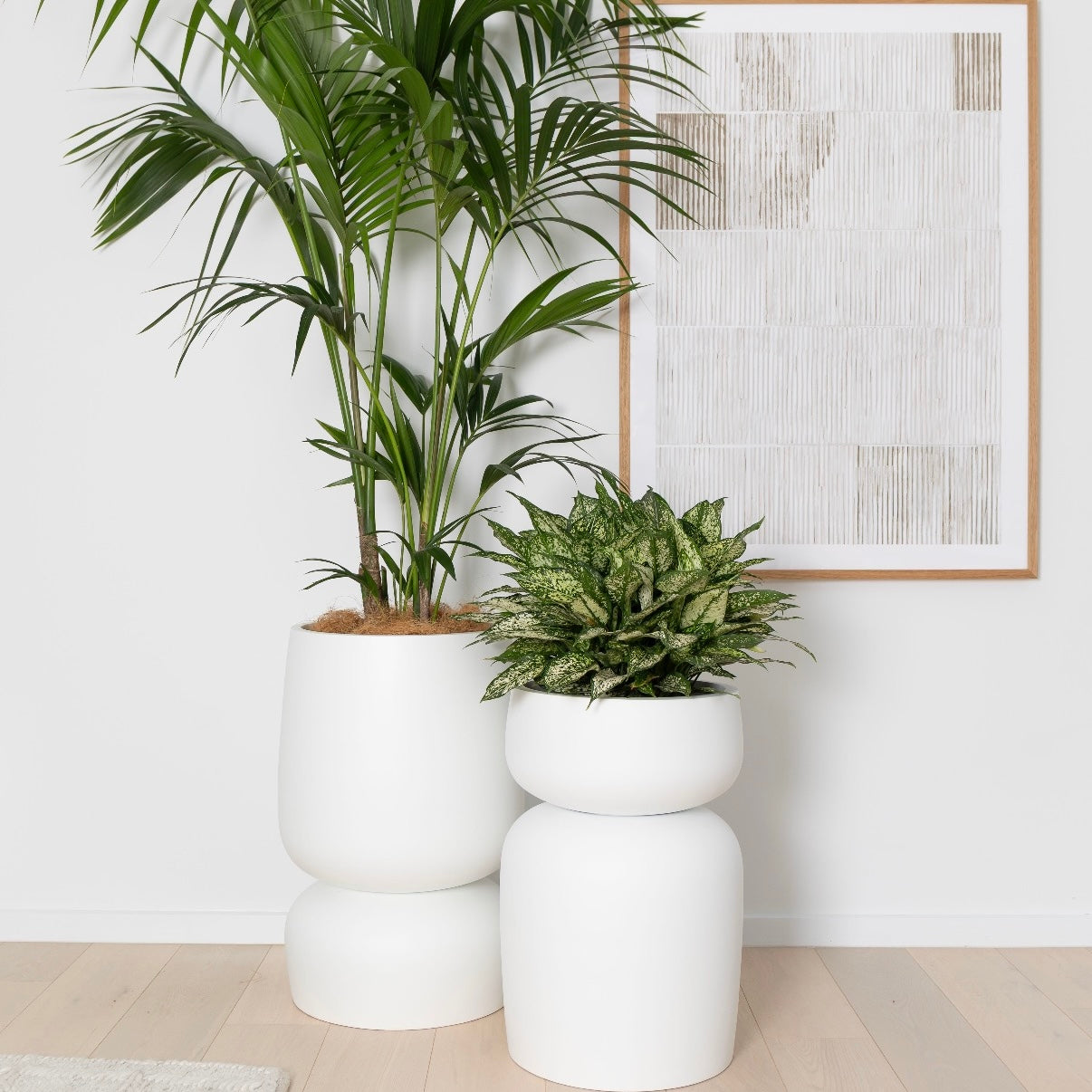 Balmoral Planter - Lightweight Fiberglass