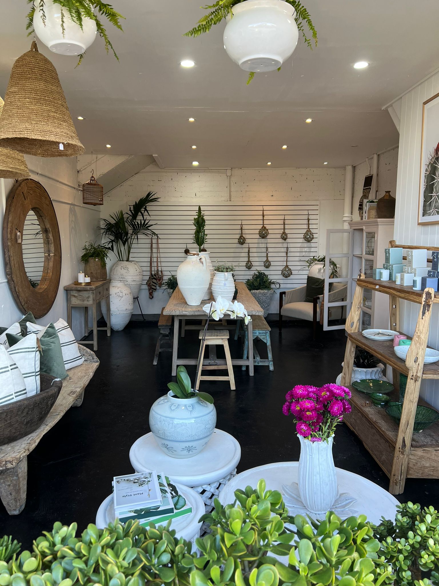 Pots Plants The Pot Warehouse