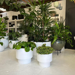 The Basin Planter -Black/White