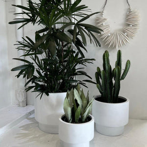The Basin Planter -Black/White
