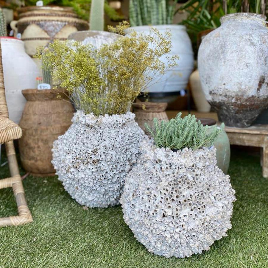 Medium with lip The Pot Warehouse