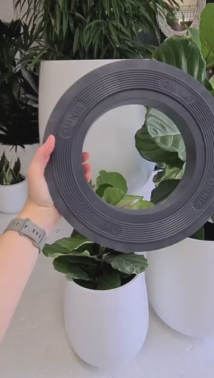 Plantglider - POT DOLLY