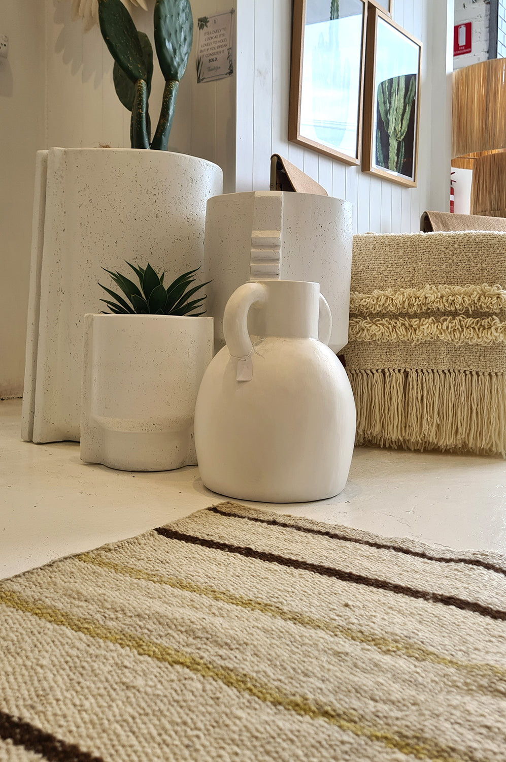 Pots Plants The Pot Warehouse