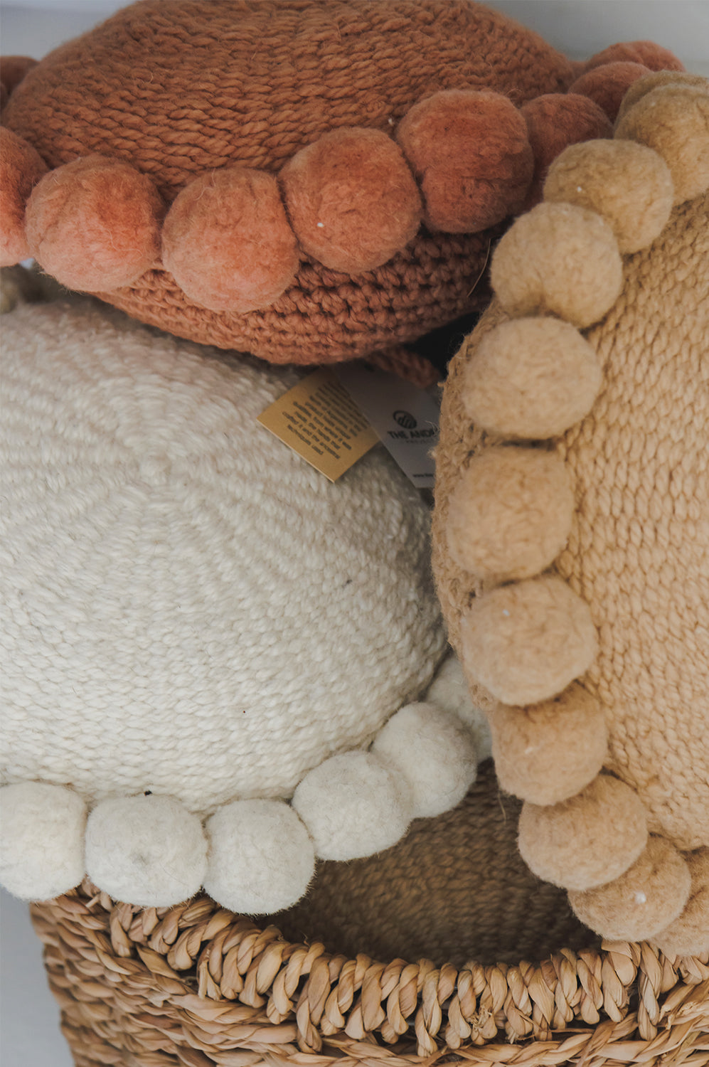 Pots Plants The Pot Warehouse