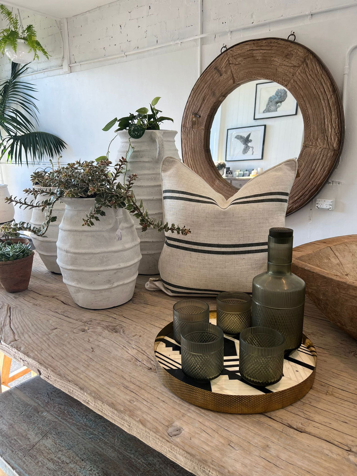 Pots Plants The Pot Warehouse