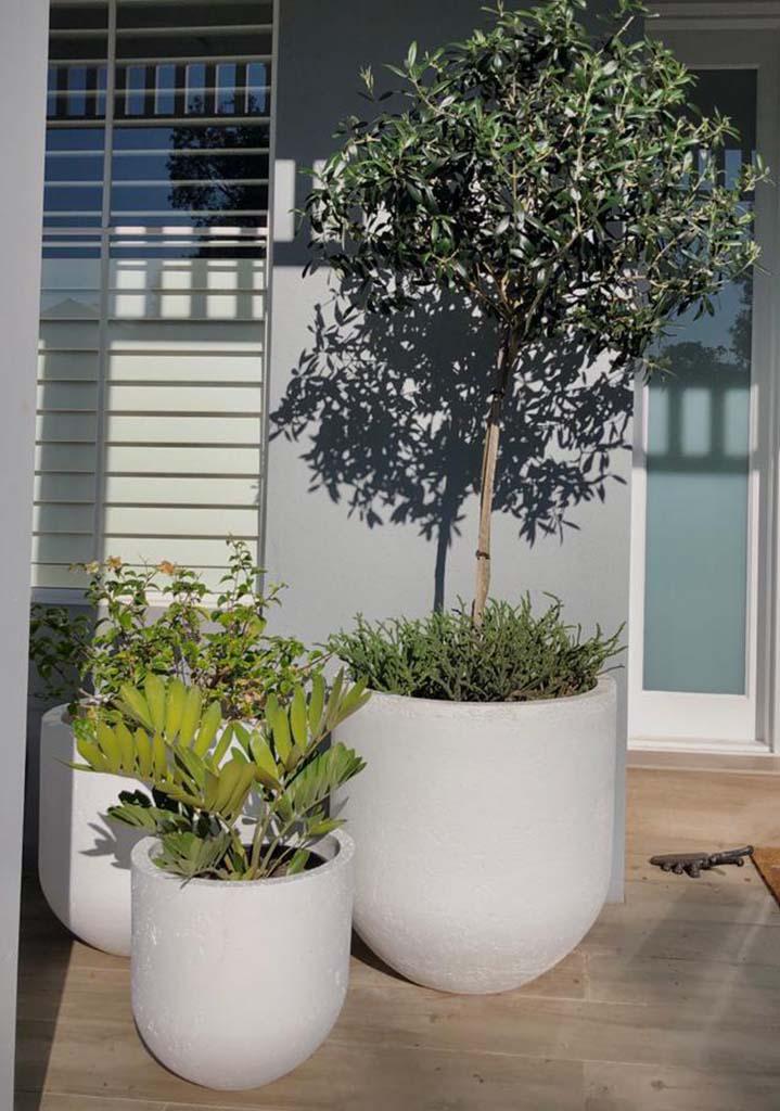 Pots Plants The Pot Warehouse