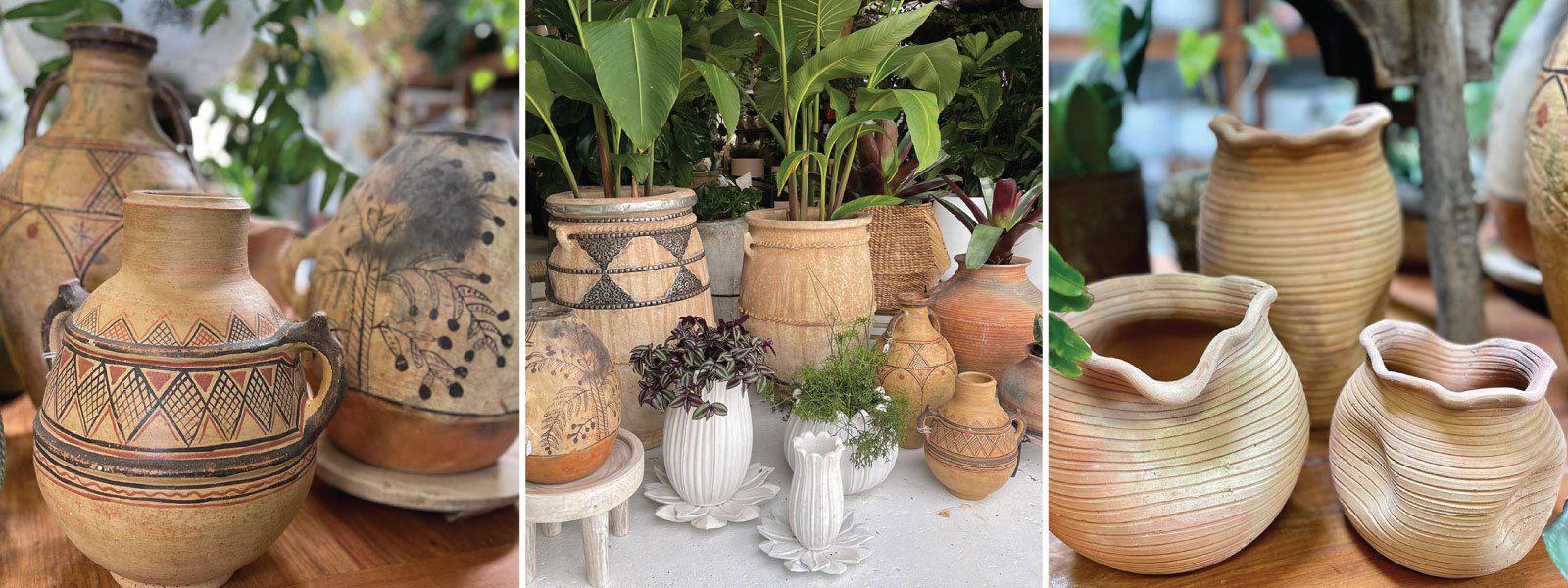 Pots Plants The Pot Warehouse