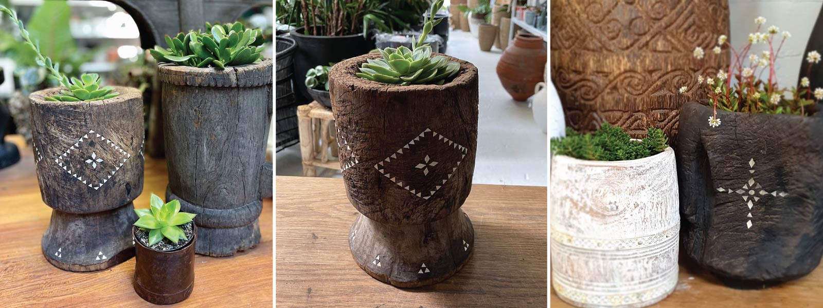 Pots Plants The Pot Warehouse