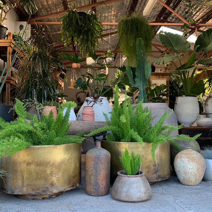 Indian Brass floating planter