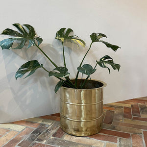 Brass ringed planter