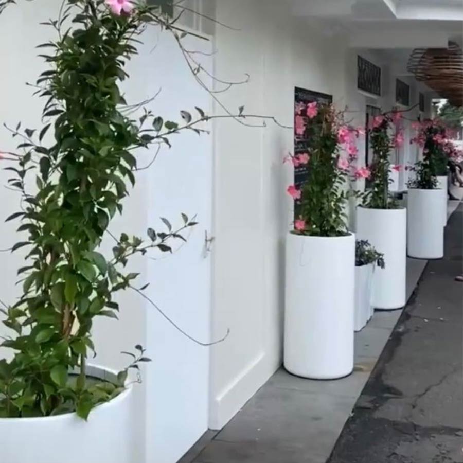 The Newport Cylinder Planter