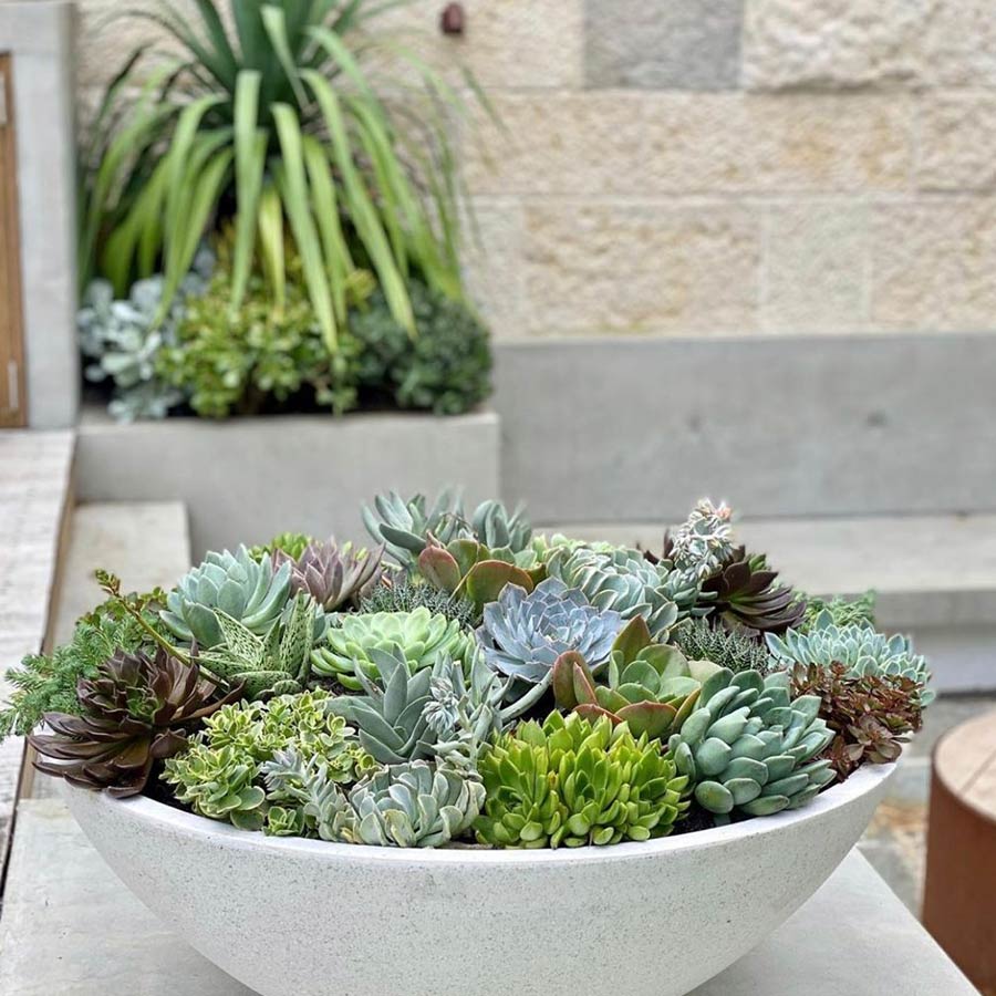 Low Bowl Planter- TERRAZZO