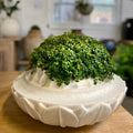 Bodhi Indian marble planter