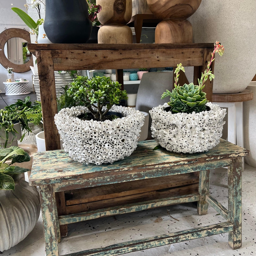 Barnacle bowl/pot