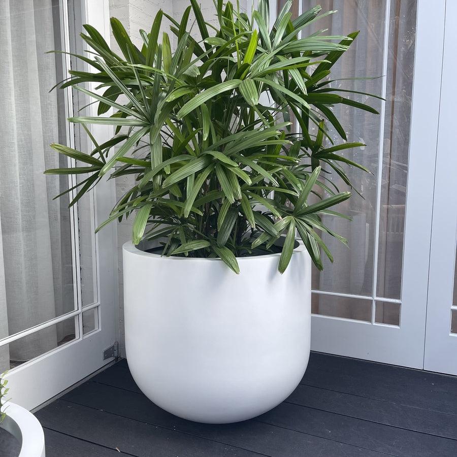 The Avalon Planter