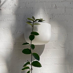 Ceramic hanging planter